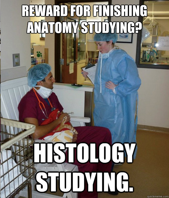 Reward for finishing Anatomy studying? Histology studying.  Overworked Veterinary Student