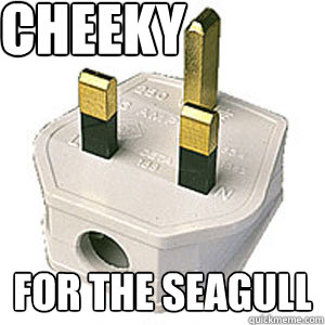 CHEEKY for THE SEAGULL  