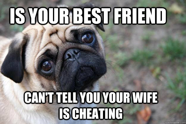 Is your best friend Can't tell you your wife is cheating  First World Dog problems