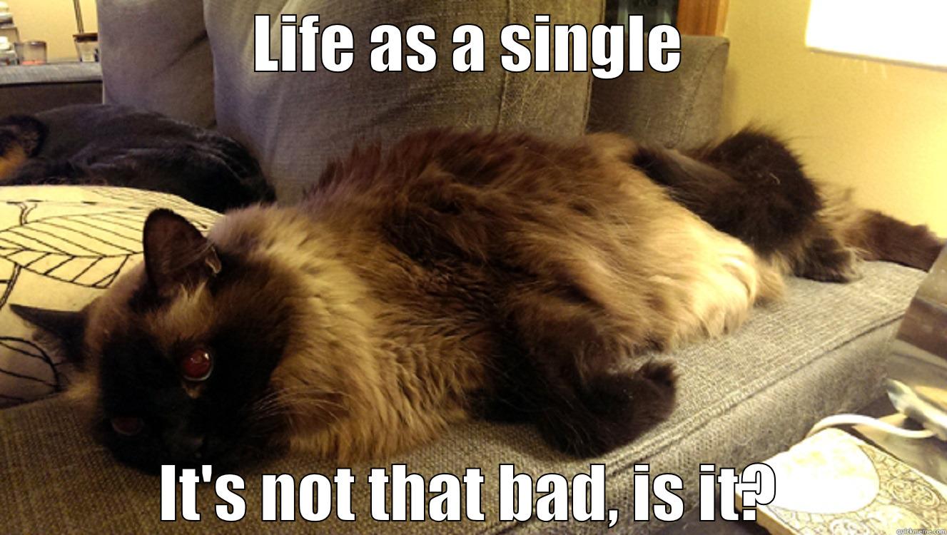 LIFE AS A SINGLE IT'S NOT THAT BAD, IS IT? Misc
