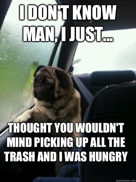 I don't know man, I just... Thought you wouldn't mind picking up all the trash and I was hungry  Introspective Pug