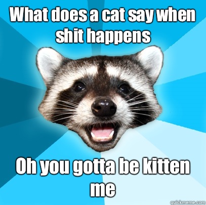 What does a cat say when shit happens Oh you gotta be kitten me  Lame Pun Coon