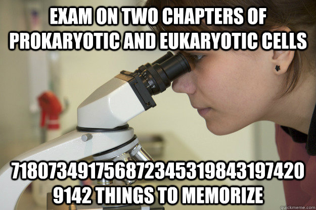 exam on two chapters of prokaryotic and eukaryotic cells 7180734917568723453198431974209142 things to memorize - exam on two chapters of prokaryotic and eukaryotic cells 7180734917568723453198431974209142 things to memorize  Biology Major Student