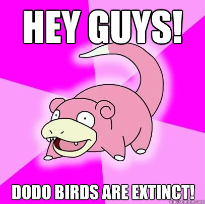 Hey Guys! Dodo birds are extinct!  Slowpoke