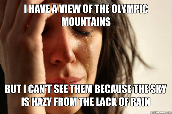 i have a view of the olympic mountains
 but i can't see them because the sky is hazy from the lack of rain Caption 3 goes here  First World Problems