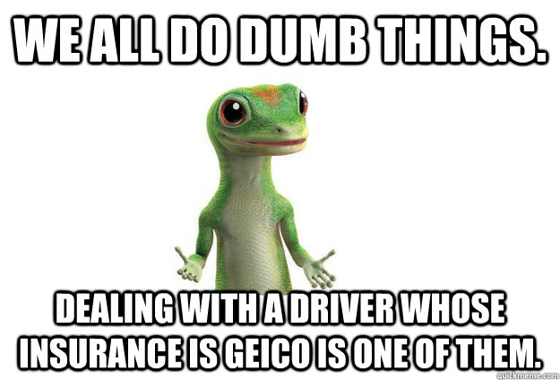 We all do dumb things.  Dealing with a driver whose insurance is Geico is one of them.  