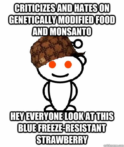 Criticizes and hates on genetically modified food and monsanto hey everyone look at this blue freeze-resistant strawberry  Scumbag Redditor