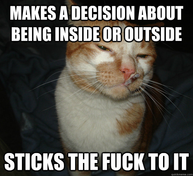 Makes a decision about being inside or outside Sticks the fuck to it  Cool Cat Craig