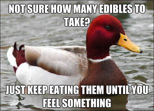 not sure how many edibles to take? just keep eating them until you feel something  Malicious Advice Mallard