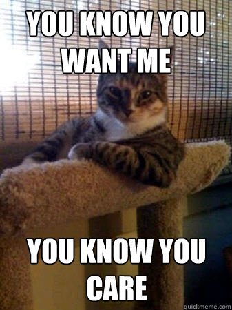 You know you want me You know you care  The Most Interesting Cat in the World