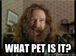  what pet is it?  What year is it