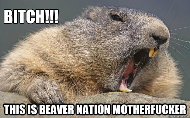 BITCH!!! this is beaver nation motherfucker - BITCH!!! this is beaver nation motherfucker  Bloodthirsty Beaver