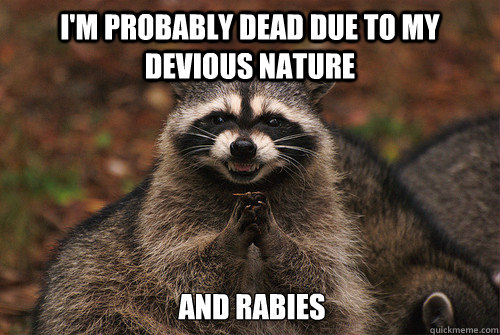 I'm probably dead due to my devious nature and rabies - I'm probably dead due to my devious nature and rabies  Insidious Racoon 2