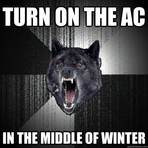 turn on the AC in the middle of winter  Insanity Wolf
