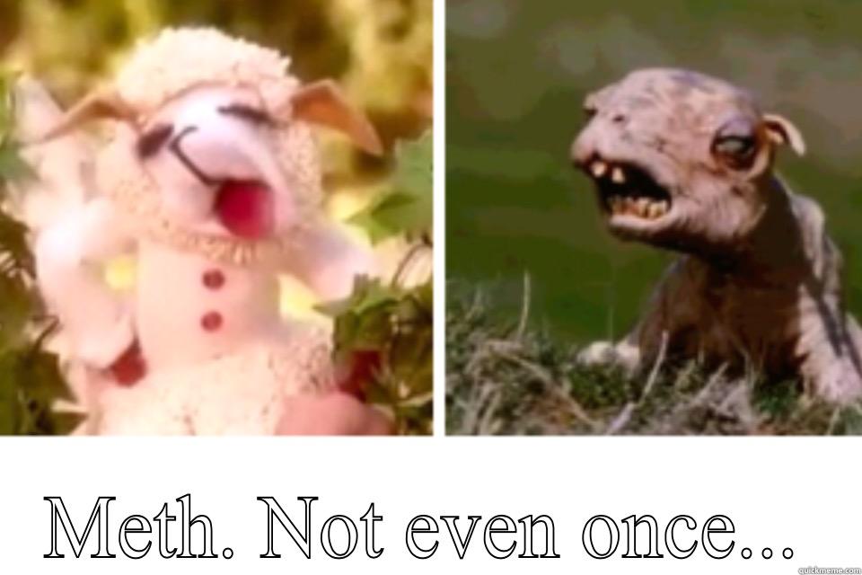Lamb chop on meth -  METH. NOT EVEN ONCE... Misc
