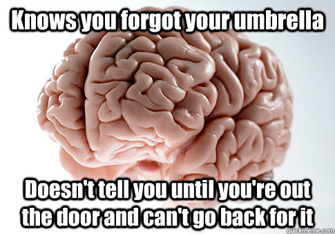 Knows you forgot your umbrella Doesn't tell you until you're out the door and can't go back for it   Scumbag Brain