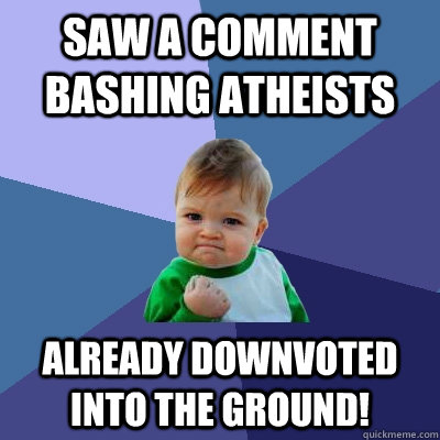 Saw a comment bashing atheists Already downvoted into the ground!  Success Kid