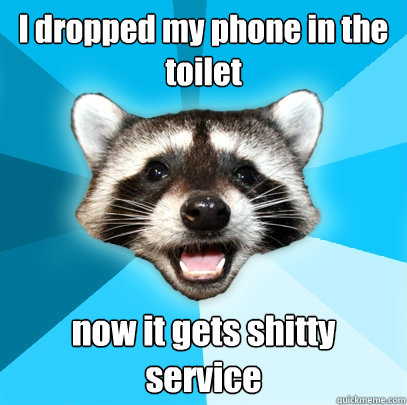 I dropped my phone in the toilet now it gets shitty service  Lame Pun Coon