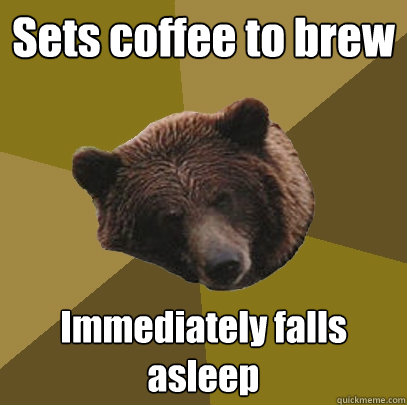 Sets coffee to brew Immediately falls asleep - Sets coffee to brew Immediately falls asleep  Lazy Bachelor Bear