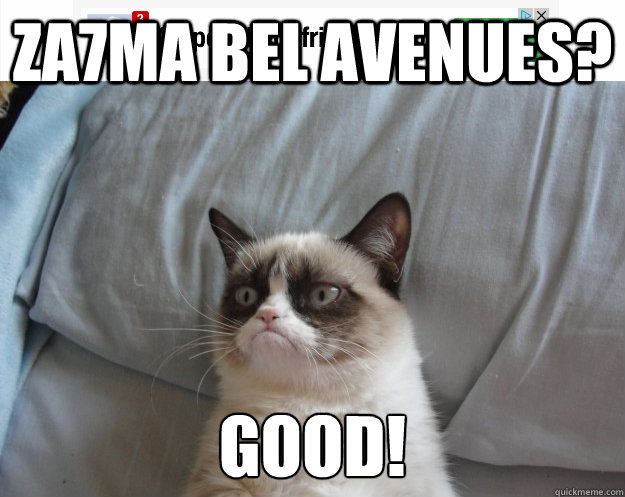 za7ma bel Avenues? good! - za7ma bel Avenues? good!  Grumpy Cat on Being Unfriended