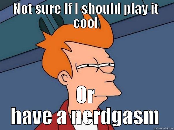 NOT SURE IF I SHOULD PLAY IT COOL OR HAVE A NERDGASM Futurama Fry