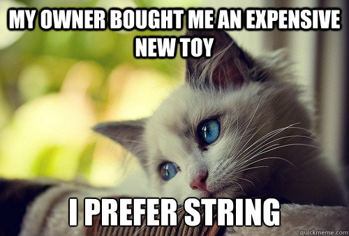 My owner bought me an expensive new toy I prefer string - My owner bought me an expensive new toy I prefer string  First World Cat Problems