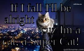 IF I FALL I'LL BE ALRIGHT                                                                                                     'CUZ IM A CAT, A SUPER CAT! Misc