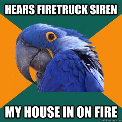 hears firetruck siren MY HOUSE IN ON FIRE  Paranoid Parrot