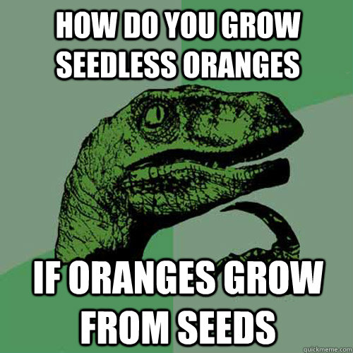 How do you grow seedless oranges if oranges grow from seeds - How do you grow seedless oranges if oranges grow from seeds  Philosoraptor
