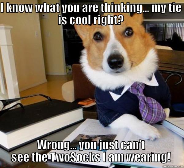 I KNOW WHAT YOU ARE THINKING... MY TIE IS COOL RIGHT? WRONG... YOU JUST CAN'T SEE THE TWOSOCKS I AM WEARING! Lawyer Dog