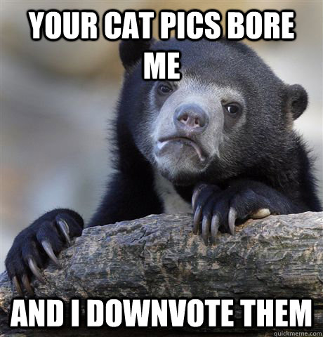 Your cat pics bore me and I downvote them  Confession Bear