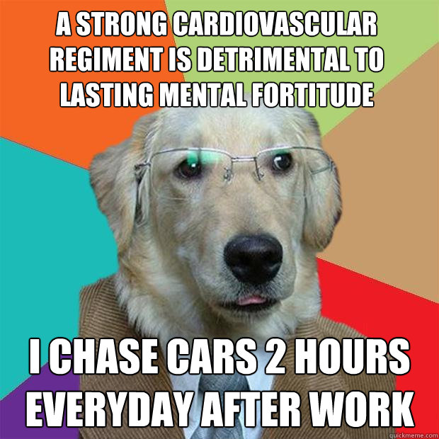 A strong cardiovascular regiment is detrimental to lasting mental fortitude I chase cars 2 hours everyday after work  Business Dog