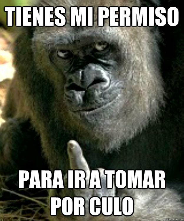 TIENES MI PERMISO PARA IR A TOMAR POR CULO - TIENES MI PERMISO PARA IR A TOMAR POR CULO  VETE A TOMAR POR CULO