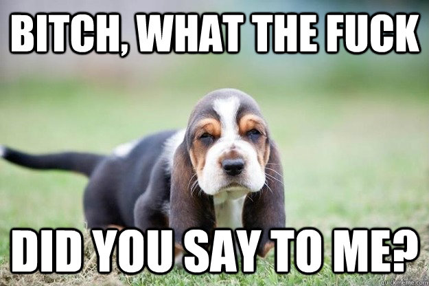 BITCH, what the fuck did you say to me? - BITCH, what the fuck did you say to me?  Misc