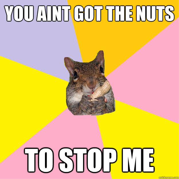 you aint got the nuts to stop me  