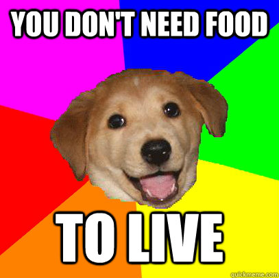 You don't need food to live  Advice Dog
