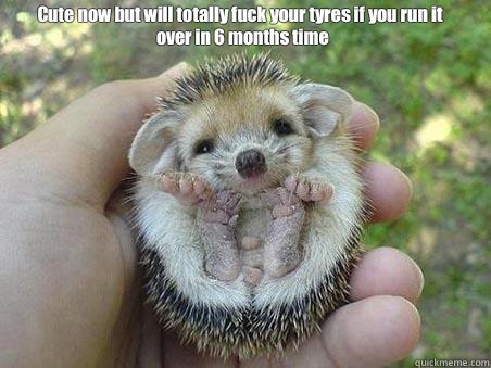 Cute now but will totally fuck your tyres if you run it over in 6 months time  