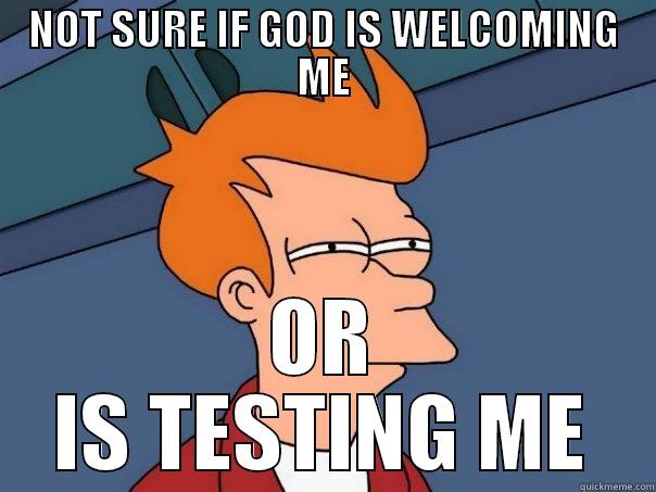 NOT SURE IF GOD IS WELCOMING ME OR IS TESTING ME Futurama Fry