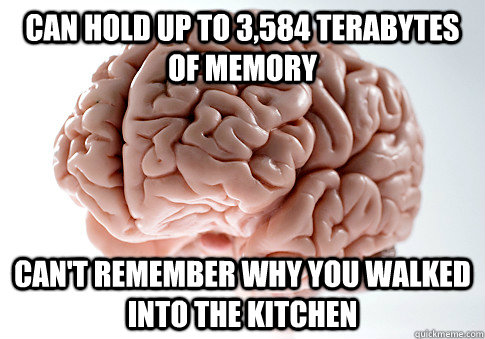 Can hold up to 3,584 terabytes of memory can't remember why you walked into the kitchen  Scumbag Brain