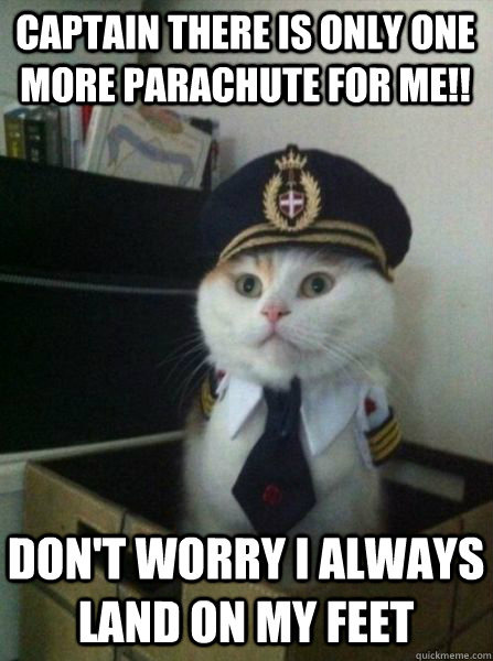 captaIN THERE is only one more parachute for me!!  don't worry i always land on my feet  Captain kitteh