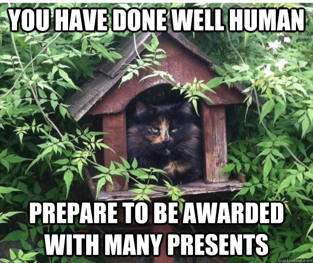 you have done well human prepare to be awarded with many presents - you have done well human prepare to be awarded with many presents  Royalty Cat