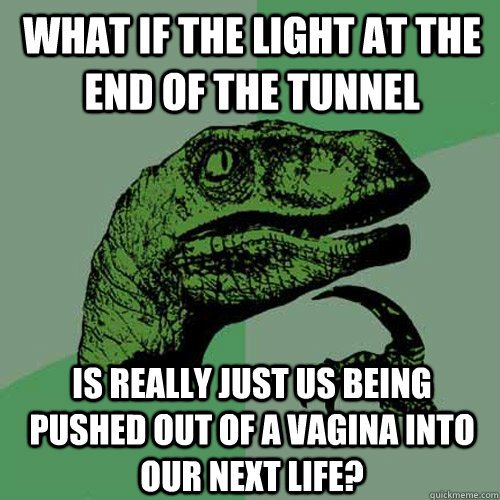 what if the light at the end of the tunnel is really just us being pushed out of a vagina into our next life?  Philosoraptor