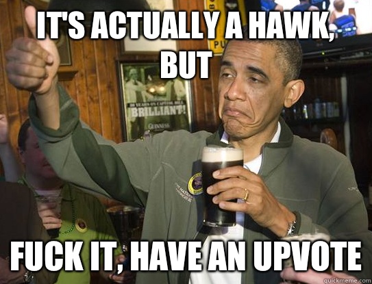 It's actually a hawk, but Fuck it, Have an upvote  Upvoting Obama
