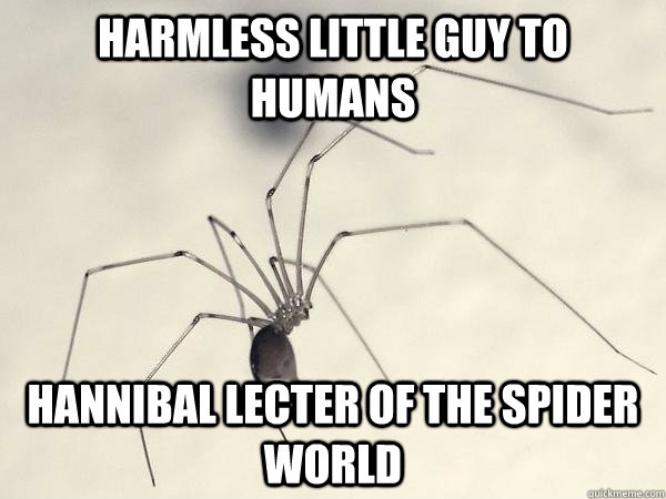 Autistic memes for spider loving teens - Daddy long legs memes