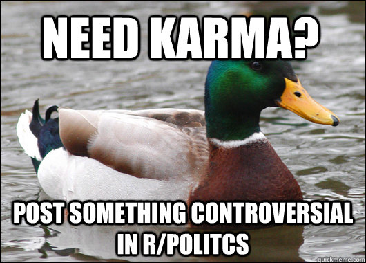 Need Karma? Post something controversial in r/politcs  Actual Advice Mallard