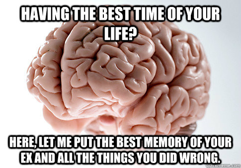 Having the best time of your life? Here, let me put the best memory of your ex and all the things you did wrong. - Having the best time of your life? Here, let me put the best memory of your ex and all the things you did wrong.  Scumbag Brain