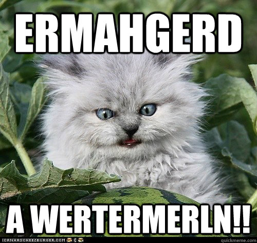 ermahgerd a wertermerln!! - ermahgerd a wertermerln!!  Misc