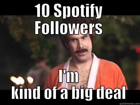 10 SPOTIFY FOLLOWERS I'M KIND OF A BIG DEAL Misc