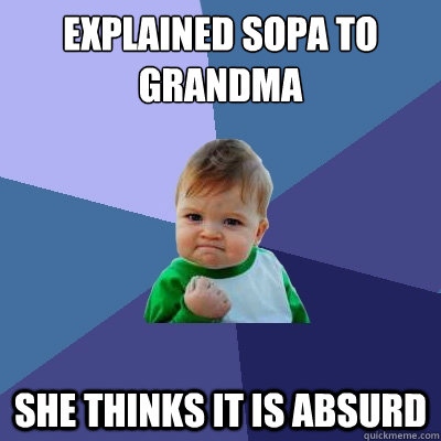 Explained SOPA to grandma She thinks it is absurd  Success Kid
