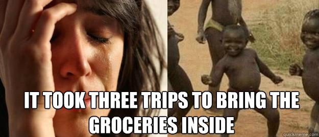 it took three trips to bring the groceries inside   First World Problems  Third World Success